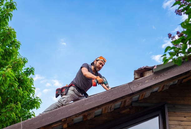 Best Metal Roofing Installation  in Oak Grove, KY